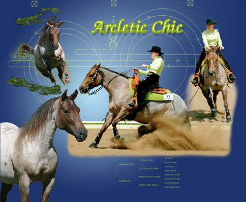 Arcletic Chic